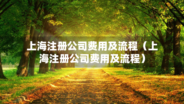 上海注冊公司費用及流程（上海注冊公司費用及流程）