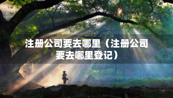 注冊公司要去哪里（注冊公司要去哪里登記）