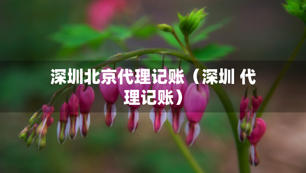 深圳北京代理記賬（深圳 代理記賬）