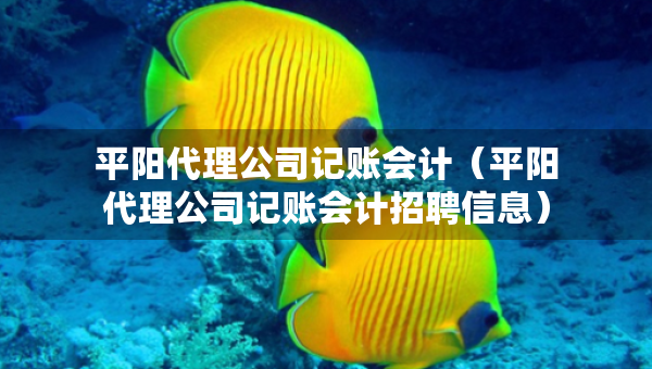 平陽代理公司記賬會計（平陽代理公司記賬會計招聘信息）