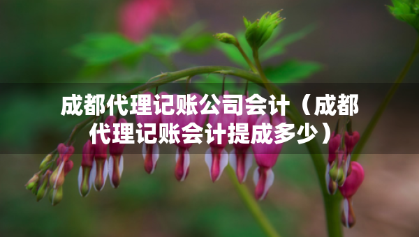 成都代理記賬公司會計(jì)（成都代理記賬會計(jì)提成多少）