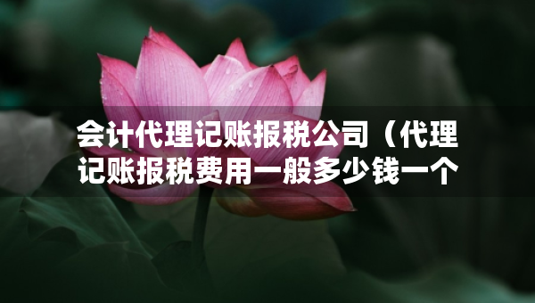會計代理記賬報稅公司（代理記賬報稅費用一般多少錢一個月）
