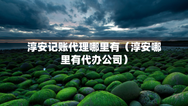 淳安記賬代理哪里有（淳安哪里有代辦公司）