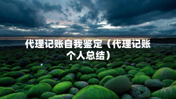 代理記賬自我鑒定（代理記賬個人總結）