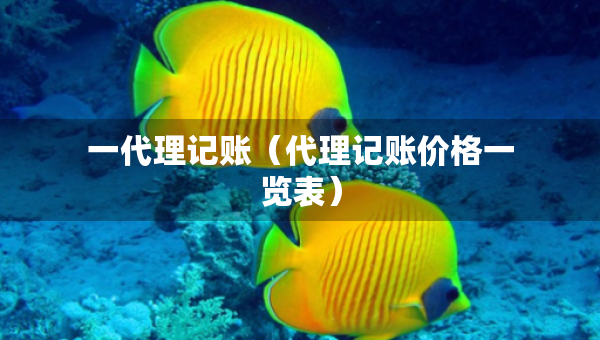 一代理記賬（代理記賬價格一覽表）