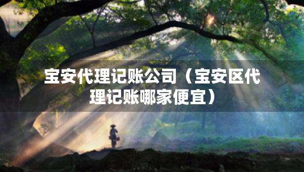 寶安代理記賬公司（寶安區(qū)代理記賬哪家便宜）