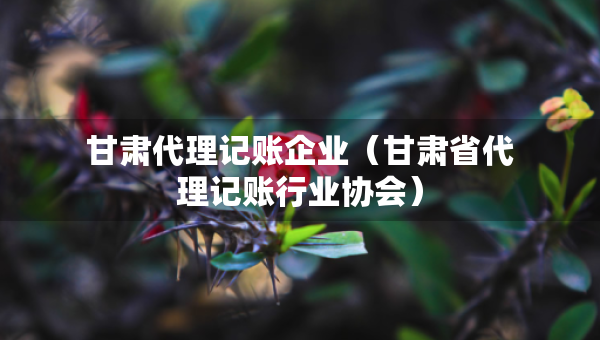 甘肅代理記賬企業(yè)（甘肅省代理記賬行業(yè)協(xié)會）