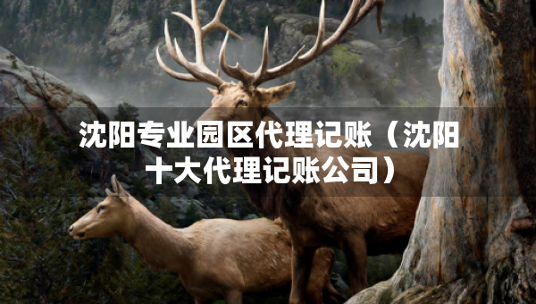 沈陽專業(yè)園區(qū)代理記賬（沈陽十大代理記賬公司）