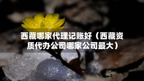 西藏哪家代理記賬好（西藏資質(zhì)代辦公司哪家公司最大）