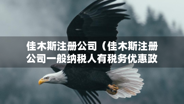 佳木斯注冊公司（佳木斯注冊公司一般納稅人有稅務優(yōu)惠政策）