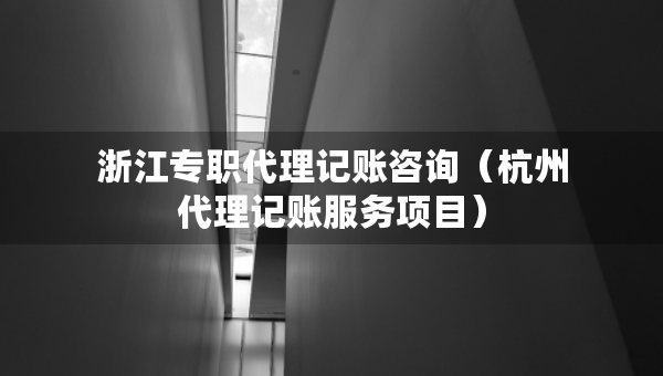 浙江專職代理記賬咨詢（杭州代理記賬服務項目）