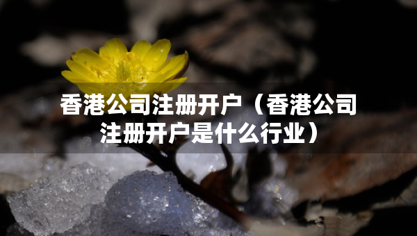 香港公司注冊開戶（香港公司注冊開戶是什么行業(yè)）