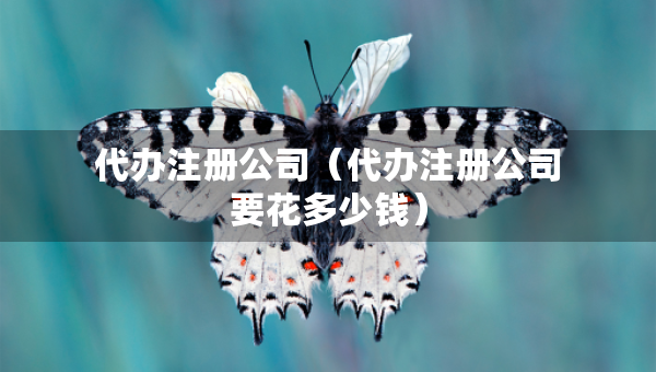 代辦注冊公司（代辦注冊公司要花多少錢）