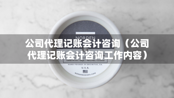 公司代理記賬會(huì)計(jì)咨詢（公司代理記賬會(huì)計(jì)咨詢工作內(nèi)容）