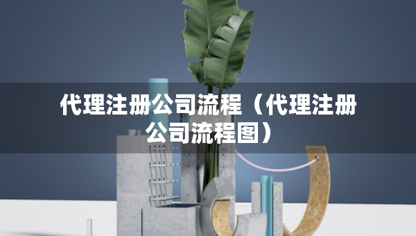 代理注冊公司流程（代理注冊公司流程圖）