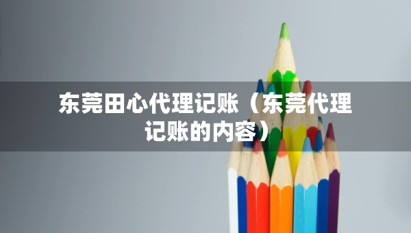 東莞田心代理記賬（東莞代理記賬的內(nèi)容）