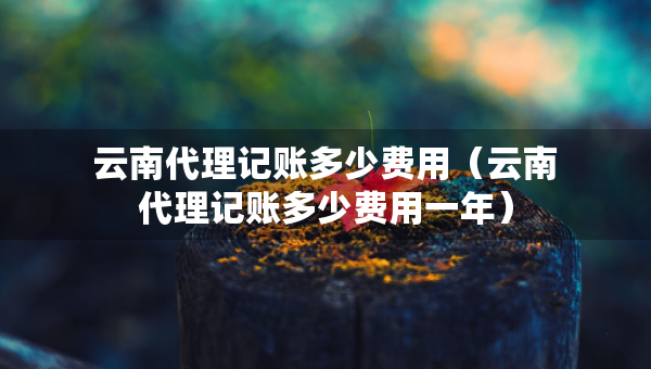 云南代理記賬多少費用（云南代理記賬多少費用一年）