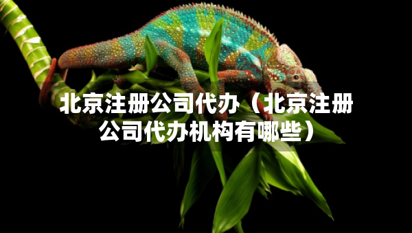 北京注冊(cè)公司代辦（北京注冊(cè)公司代辦機(jī)構(gòu)有哪些）
