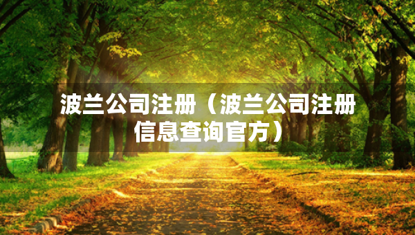 波蘭公司注冊（波蘭公司注冊信息查詢官方）
