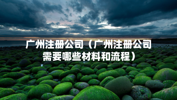 廣州注冊公司（廣州注冊公司需要哪些材料和流程）