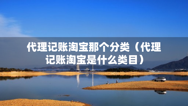 代理記賬淘寶那個分類（代理記賬淘寶是什么類目）