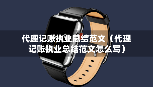 代理記賬執(zhí)業(yè)總結(jié)范文（代理記賬執(zhí)業(yè)總結(jié)范文怎么寫(xiě)）