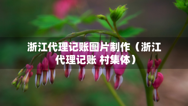 浙江代理記賬圖片制作（浙江 代理記賬 村集體）