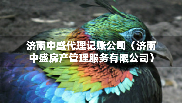 濟南中盛代理記賬公司（濟南中盛房產(chǎn)管理服務有限公司）