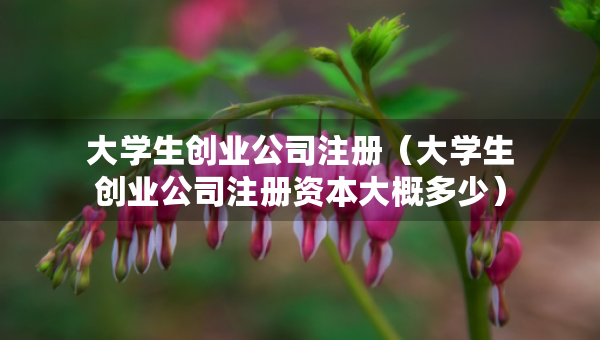 大學生創(chuàng)業(yè)公司注冊（大學生創(chuàng)業(yè)公司注冊資本大概多少）