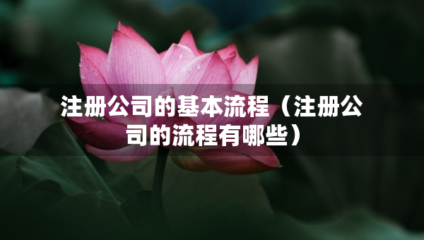注冊(cè)公司的基本流程（注冊(cè)公司的流程有哪些）