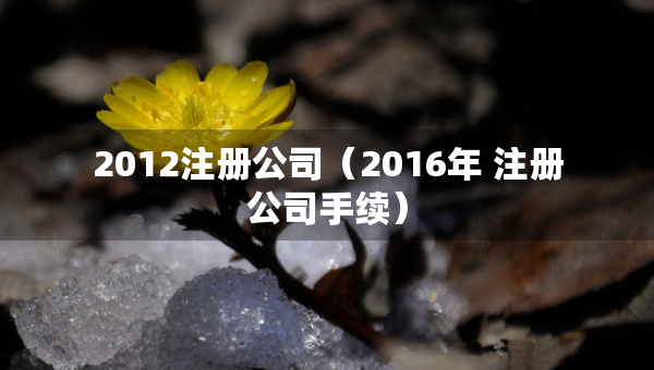 2012注冊(cè)公司（2016年 注冊(cè)公司手續(xù)）