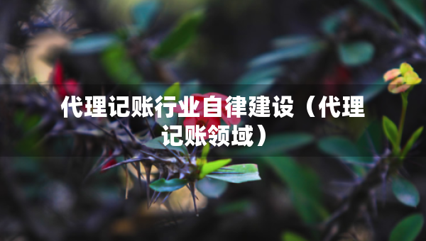 代理記賬行業(yè)自律建設(shè)（代理記賬領(lǐng)域）