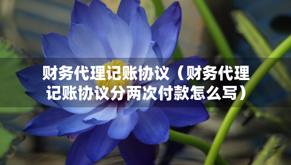 財務(wù)代理記賬協(xié)議（財務(wù)代理記賬協(xié)議分兩次付款怎么寫）