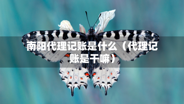 南陽代理記賬是什么（代理記賬是干嘛）