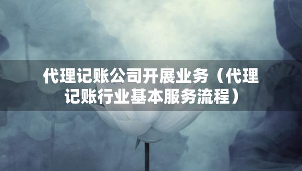 代理記賬公司開展業(yè)務(wù)（代理記賬行業(yè)基本服務(wù)流程）