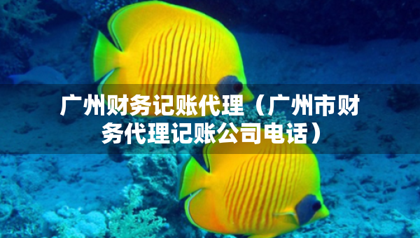 廣州財務記賬代理（廣州市財務代理記賬公司電話）