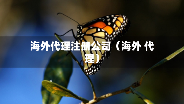 海外代理注冊公司（海外 代理）