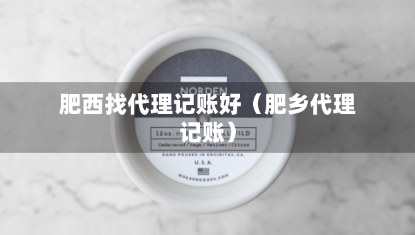 肥西找代理記賬好（肥鄉(xiāng)代理記賬）