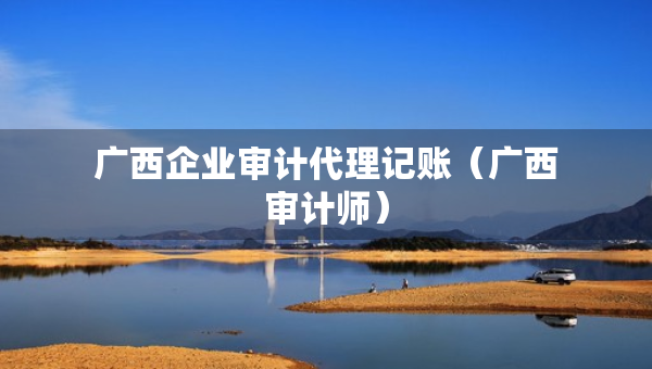 廣西企業(yè)審計(jì)代理記賬（廣西審計(jì)師）