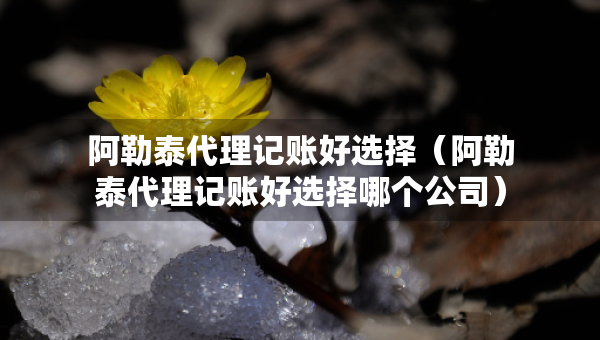 阿勒泰代理記賬好選擇（阿勒泰代理記賬好選擇哪個公司）