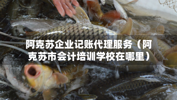 阿克蘇企業(yè)記賬代理服務(wù)（阿克蘇市會(huì)計(jì)培訓(xùn)學(xué)校在哪里）