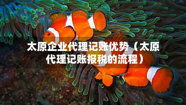 太原企業(yè)代理記賬優(yōu)勢（太原 代理記賬報稅的流程）