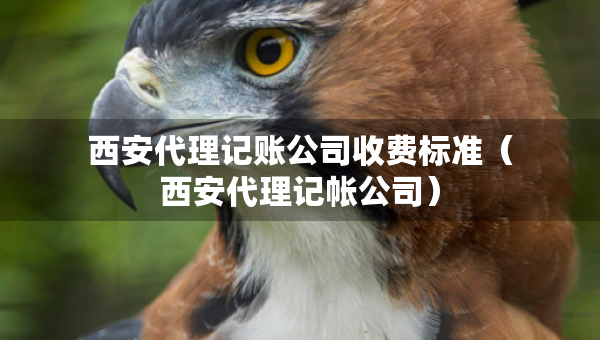 西安代理記賬公司收費(fèi)標(biāo)準(zhǔn)（西安代理記帳公司）