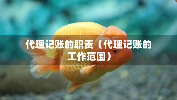 代理記賬的職責(zé)（代理記賬的工作范圍）