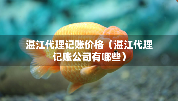 湛江代理記賬價格（湛江代理記賬公司有哪些）