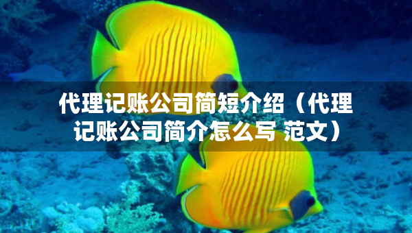代理記賬公司簡(jiǎn)短介紹（代理記賬公司簡(jiǎn)介怎么寫(xiě) 范文）