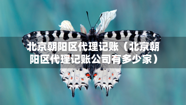 北京朝陽(yáng)區(qū)代理記賬（北京朝陽(yáng)區(qū)代理記賬公司有多少家）