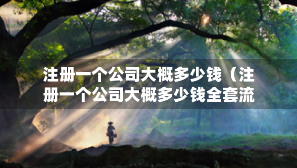 注冊(cè)一個(gè)公司大概多少錢（注冊(cè)一個(gè)公司大概多少錢全套流程）