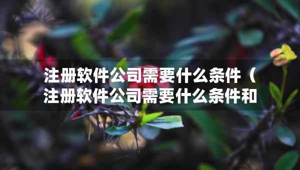 注冊(cè)軟件公司需要什么條件（注冊(cè)軟件公司需要什么條件和資質(zhì)）
