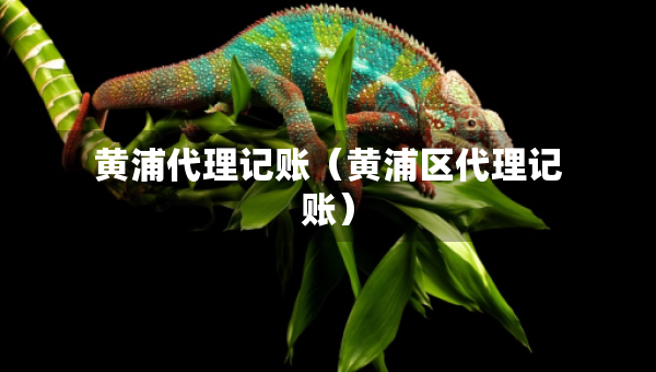 黃浦代理記賬（黃浦區(qū)代理記賬）